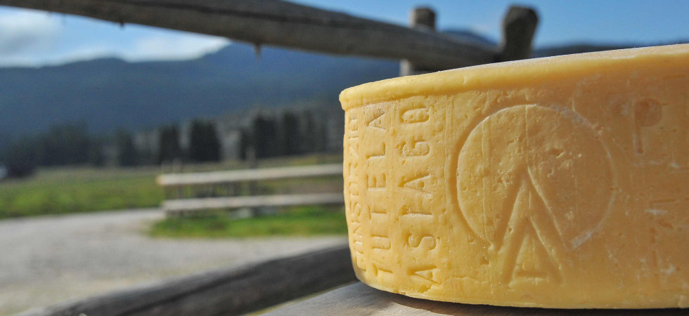 Nonostante l'incertezza malghesi e caseifici di montagna scelgono di continuare e in quota si riparte con la produzione di